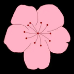 WWW,80pipi·COM网站APPAPP应用