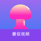 91浏览器APP应用