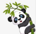 黄色成人app最新版
